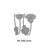 Cactus Grass Weed Broadleaf Flowers Paper Cards