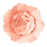 Paper Flowers Home Decoration