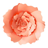 Paper Flowers Home Decoration