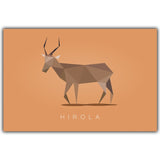 Animal Poster Wall Art Picture