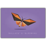 Animal Poster Wall Art Picture