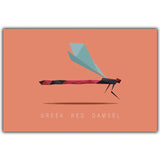 Animal Poster Wall Art Picture