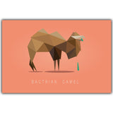 Animal Poster Wall Art Picture