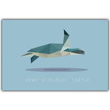 Animal Poster Wall Art Picture
