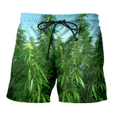 Summer 3D t-shirt Green weed Print