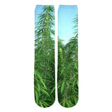 Summer 3D t-shirt Green weed Print
