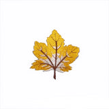 Plant patch Iron on clothes